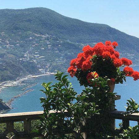 Sussurri di Mare Bed and Breakfast Moneglia Esterno foto